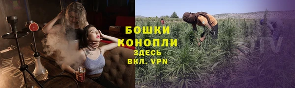 гашик Дмитриев