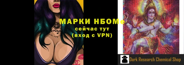 гашик Дмитриев