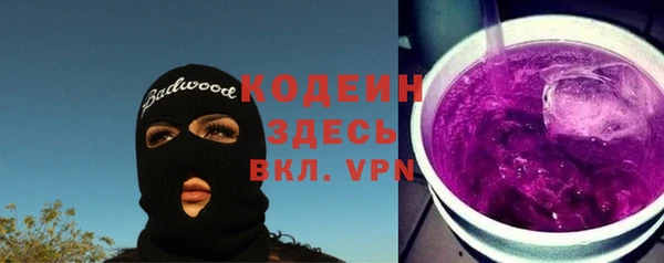 прущие грибы Дмитров