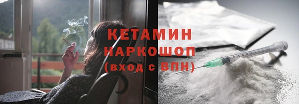 прущие грибы Дмитров