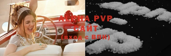 прущие грибы Дмитров