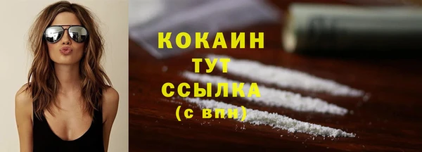 прущие грибы Дмитров