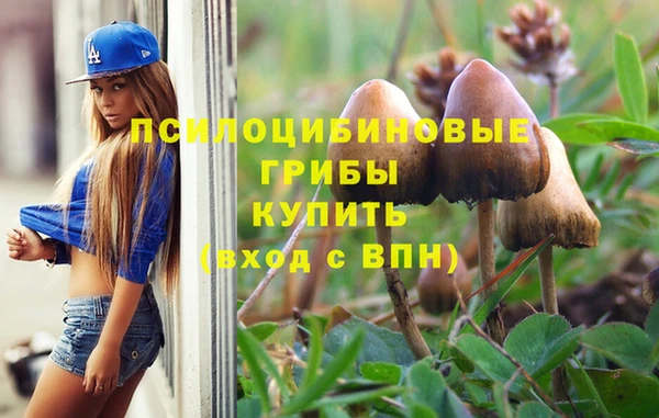 МДМА Дмитровск