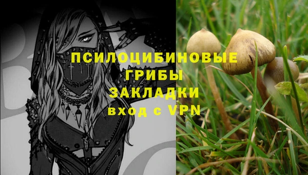 МДМА Дмитровск