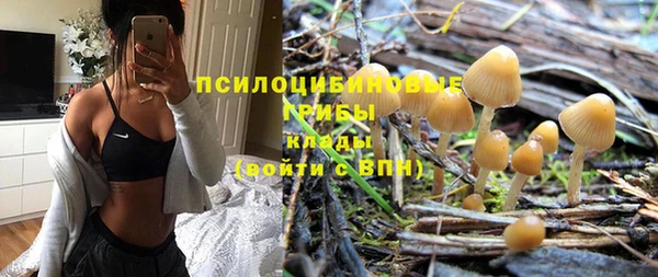 гашик Дмитриев