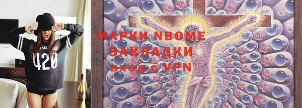 прущие грибы Дмитров