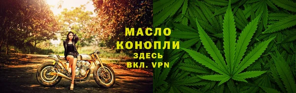 прущие грибы Дмитров