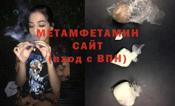 прущие грибы Дмитров