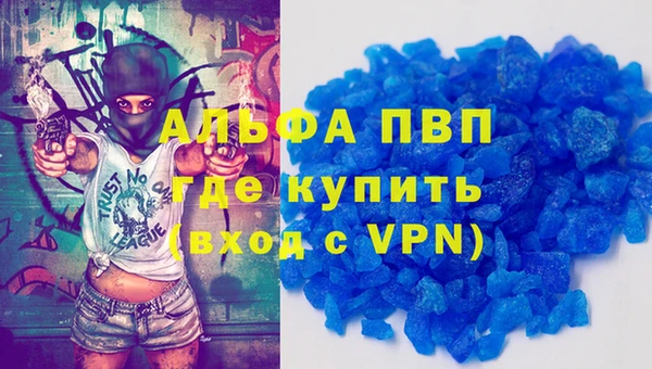 гашик Дмитриев