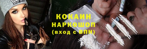 прущие грибы Дмитров