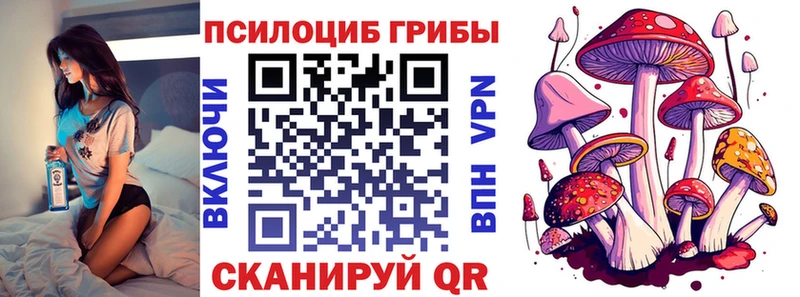Купить закладки  Сясьстрой  Псилоцибиновые грибы мухоморы 